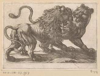 A Lion Fighting with a Lioness