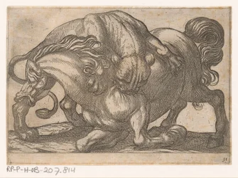 Lioness Attacking a Horse (Fighting Animals)