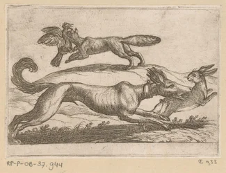 A Fox Attacks a Chicken and a Dog a Hare