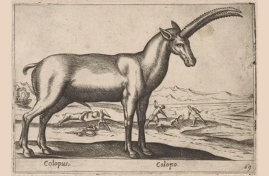 Goat-like Creature