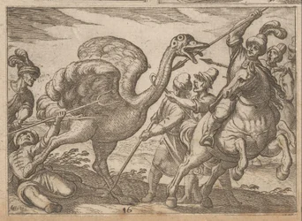 Hunting an Ostrich