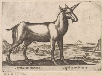 Capricorn as Sea Creature (Capricornus marinus) (Animals and Mythical Creatures) (Nova raccolta de li animali piu curiosi del mondo)