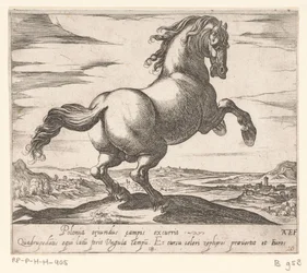Rearing Horse Facing Right (series title: Horses from Different Countries)