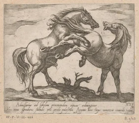 Two Mating Horses (Horses from Different Countries)