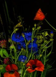 Bouquet Original, 2025