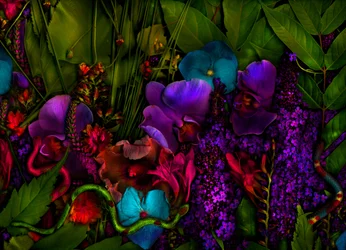 Magic Garden No.27-3, 2011
