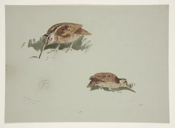 Two vignettes of woodcock, c.1915