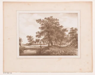 View of a Country Road and a Ditch