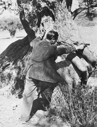 Salvatore Giuliano pointing a pistol, 1937