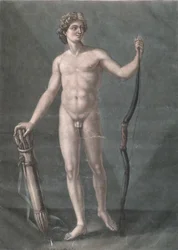Apollo, the ideal anatomy