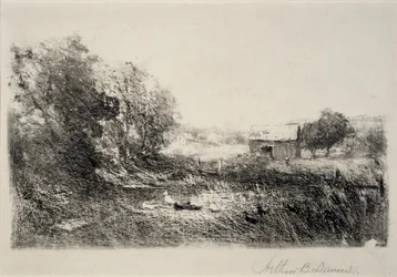 Duck Pond
