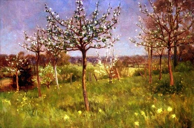 Spring in the Orchard
