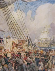 The Old Superb, illustration from 