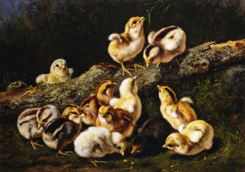 Little Pets