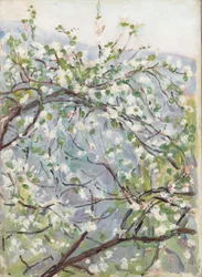 Blossom