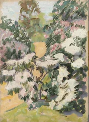 Blossom