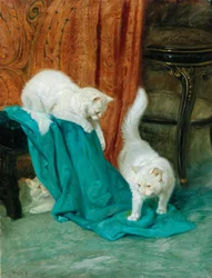 Cats Playing