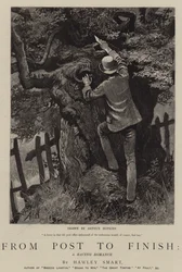 From Post to Finish, a Racing Romance