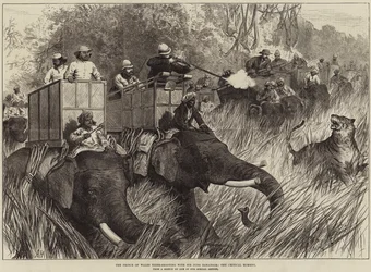 The Prince of Wales Tiger-Shooting with Sir Jung Bahadoor, the Critical Moment