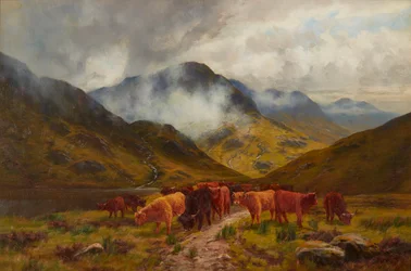 Highland Cattle