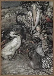 Alice and the Animals After the Caucus Race