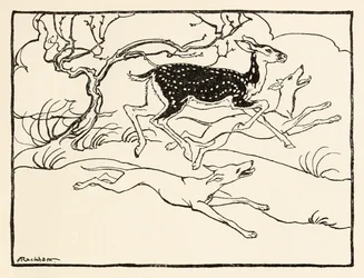 Becfola in her chariot from The Wooing of Becfola in Irish Fairy Tales