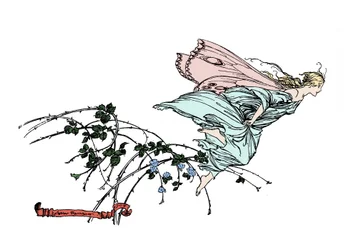 Illustration for A Midsummer Night