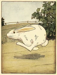 Peter never stopped running (from The Tale of Peter Rabbit, pub. 1916)