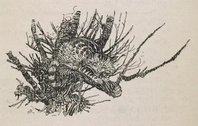 The Cheshire Cat in a tree