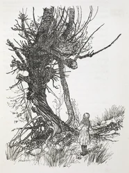 The Cheshire Cat in a Tree Looking Down at Alice