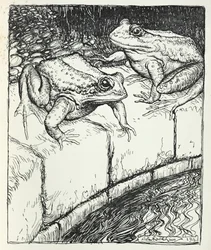 The Frogs and the Well, Illustration from 