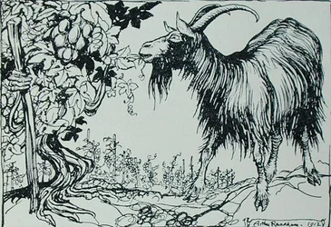 The Goat and the Vine, illustration from 