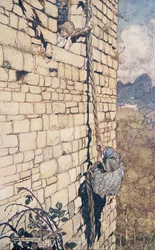 The Witch Climbed Up, from The Fairy Tales of the Brothers Grimm, pub. 1909