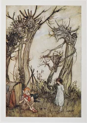 The man in the wilderness