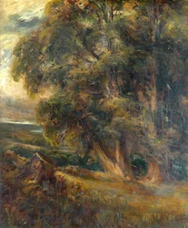 Tree Study