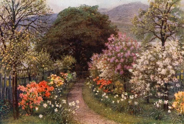 Path to the Lake at Brantwood, Lancashire