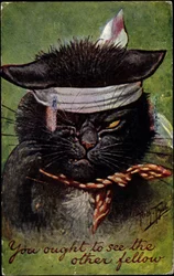 Cat, You ought to see the other fellow