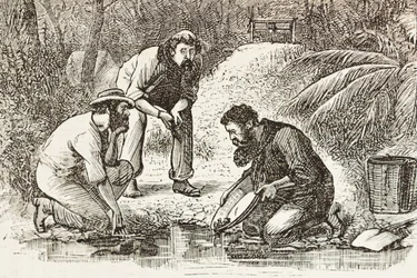 Australia (1880). The life of the gold diggers in Botany Bay (founded in 1788) (engraving)