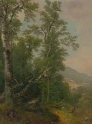 Study of Trees