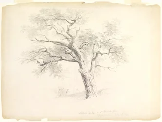 The Chestnut Oak on the Hosack Estate, Hyde Park, New York with Five Figures and an Artist Sketching, 1838