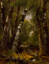 Woodland Glen