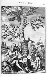 Genealogy tree of Adam, 1675