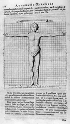 Proportions of Man