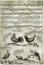 The Song Emitted by Certain Birds Expressed by Musical Notes (from 