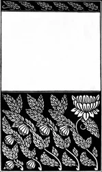 Design for Cover of Nobody