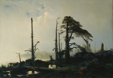 Lake in fog