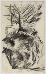 Tree on the Slope