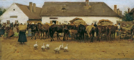 Market in Szolnok