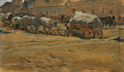 Hungarian Ox Teams
