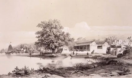 Mandarin